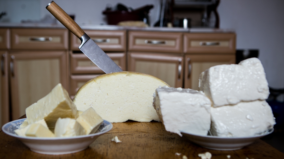 Balkan sofralarının vazgeçilmezi: Şar peyniri